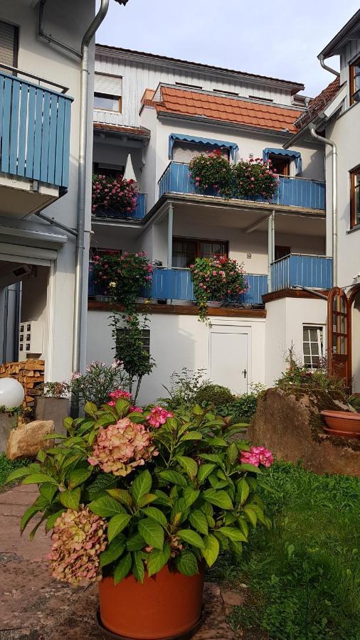 Hotel Wappenstube Erbach  Esterno foto